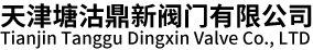 天津塘沽鼎新阀门有限公司
